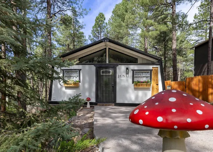 Cozy Mountain Mushroom Mountainaire
