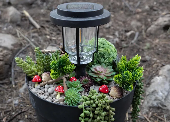 Cozy Mountain Mushroom